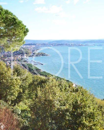 Vista de la costa hacia Trieste