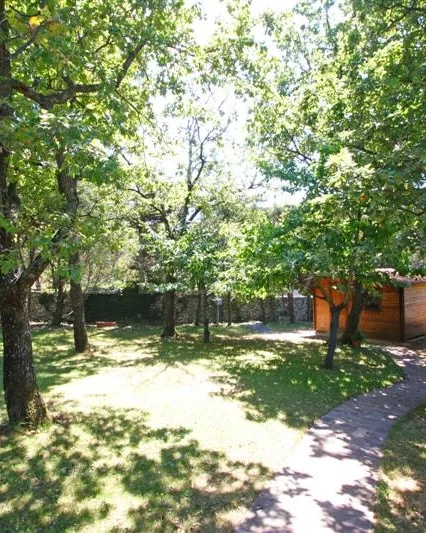 Jardín arbolado